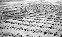 二狗很忙爆料视频在线观看,视频内容大揭秘