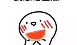 我负责吃瓜免费阅读