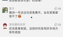今日关注爆料成功率,揭秘高成功率背后的真相