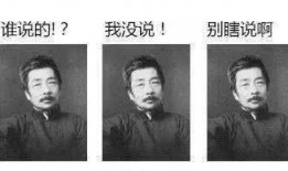 鲁迅头条爆料视频大全集,揭秘鲁迅先生生前幕后故事