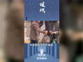 小小谭最新爆料,揭秘娱乐圈最新热点事件内幕