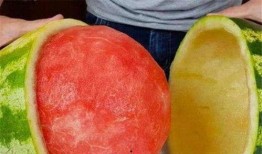 网红泰国吃瓜,一场视觉与味蕾的双重盛宴