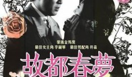 故都春梦在线观看,穿越时光的浪漫之旅