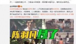 卓伟爆料沈星辰视频大全,视频大全揭露娱乐圈风云变幻