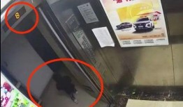 杭州爆料女孩事件视频播放,杭州爆料女孩事件视频引发热议