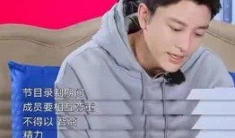 极限挑战黄磊爆料视频,独家爆料令人惊叹