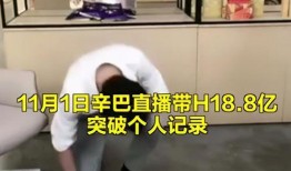 网友爆料燕窝视频大全集,燕窝视频大全集，揭秘燕窝真相与误区