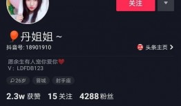 晋城网红爆料最新消息,揭秘城市新热点，带你探秘网红打卡地！