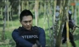 性a爱视频在线观看,性爱视频在线观看指南