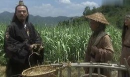 荒地在线观看,探寻未知世界的探险之旅