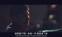 心仇在线观看,揭秘复仇之路的惊心动魄