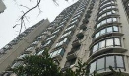静安小区爆料视频大全下载,揭秘社区生活点滴