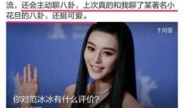 陈律八卦爆料视频大全,视频大全背后的精彩故事