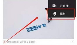 爆料视频在哪里可以看到,爆料视频背后的秘密，带你一探究竟