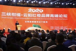 云阳新闻爆料事件最新情况,真相逐步浮出水面