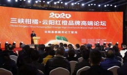 云阳新闻爆料事件最新情况,真相逐步浮出水面