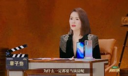 海青爆料王磊视频播放下载,播放下载背后的真相揭晓