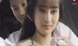 梅花烙完整版在线观看,穿越时空的深情演绎，在线重温经典爱情传奇