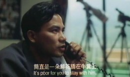 电影挡不住的风情在线观看,一场跨越时空的浪漫邂逅