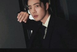 刘大锤爆料郑恺视频,揭秘明星幕后故事