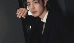 刘大锤爆料郑恺视频,揭秘明星幕后故事