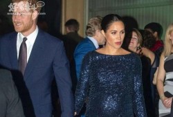 威廉回应哈利爆料视频,真相与回应背后的故事