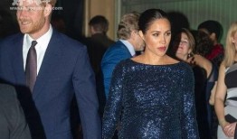 威廉回应哈利爆料视频,真相与回应背后的故事