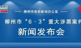 重大事件新闻爆料,揭秘幕后黑手