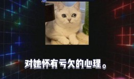 娱乐圈吃瓜爆音乐节,音乐节成吃瓜热点，明星幕后故事大揭秘