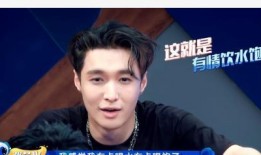 嘴哥爆料刘宪华视频全集,精彩瞬间与幕后故事大公开