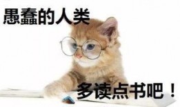 暴发户养崽吃瓜日常全文免费