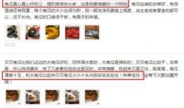 吃网红瓜的软件,跟随热门软件吃遍最新瓜果