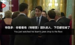 特朗普爆料八卦视频,独家爆料八卦视频大揭秘