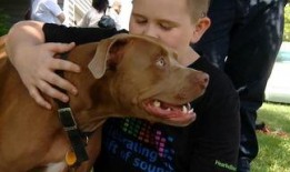 烂脸比特爆料视频,揭秘视频背后的惊人真相