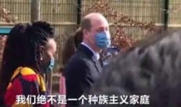 威廉回应哈利爆料视频,真相与回应背后的故事