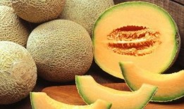 电影吃哈密瓜视频大全免费观看