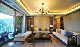 深圳市新闻爆料热线,见证城市脉搏，倾听市民心声