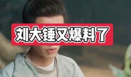 刘大锤爆料郑恺视频,揭秘明星幕后故事