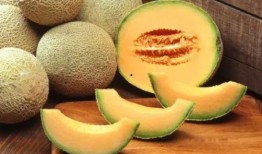 电影吃哈密瓜视频大全免费观看