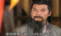 搜神传在线观看国语,探寻神秘传说的奇幻之旅