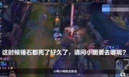 野兽先生作假的爆料视频,揭秘娱乐圈潜规则与虚假宣传