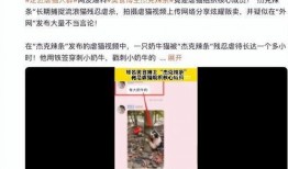 杰克辣条爆料视频下载,幕后真相大起底