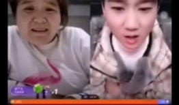 台媒爆料郭柯是真的吗视频,视频揭秘背后的真实情况