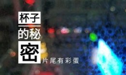 菏泽饭店爆料视频播放网站,揭秘幕后真相，带你走进事件核心