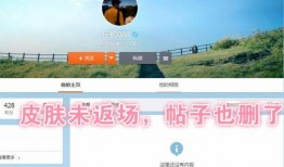 霸王别姬王者爆料视频网,精彩瞬间抢先看