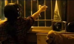 电影狗十三在线观看,成长岁月中的爱与救赎