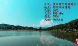 爆料主播钓鱼视频大全,主播钓鱼视频大全精彩呈现