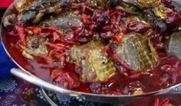 合肥美食鱼店被爆料视频,揭秘后厨卫生与菜品真相