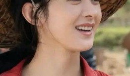 娱乐圈爆料小菊,揭秘明星背后的秘密与真相
