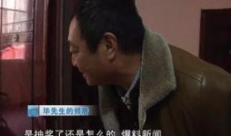野兽先生作假的爆料视频,揭秘娱乐圈潜规则与虚假宣传